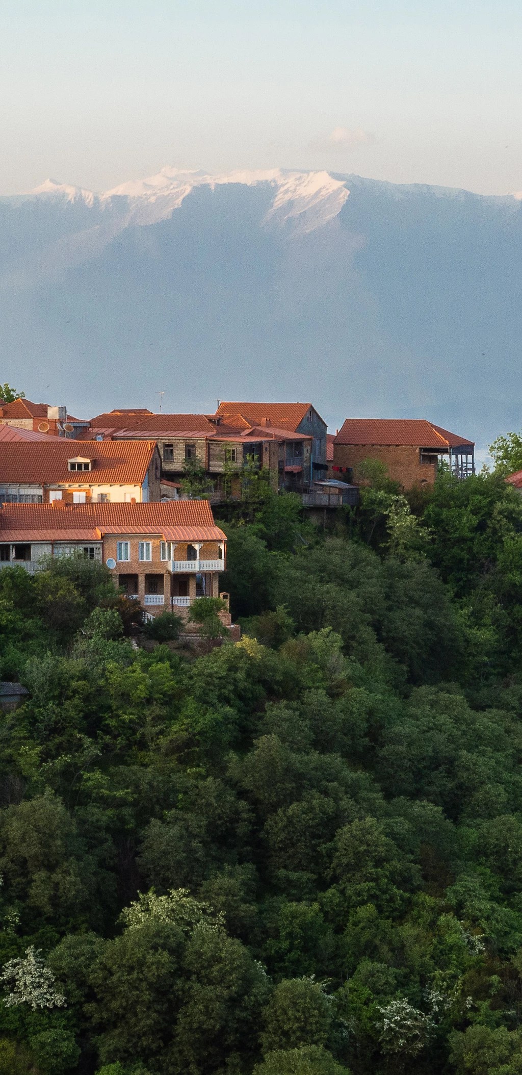 У нас вы найдете разнообразные варианты однодневных и многодневных туров из тбилиси и батуми, а также оригинальную разработку маршрута исходя из ваших пожеланий и интересов. Tury Po Gruzii Aleko Tur Batumi Tbilisi Borzhomi Signahi