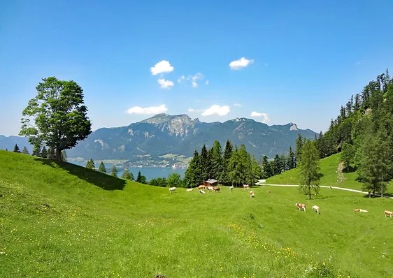 Экскурсия в горы всегда оставляет самые запоминающиеся моменты у туристов. Peshie Tury Po Avstrii Hajking