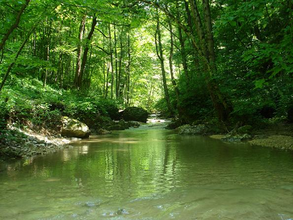 20/12/2021 · ущелье мешоко туристическая карта адыгеи маршрут вдоль реки мешоко (также мишоко) и ущелья мешоко берет начало на окраине поселка каменномостский. Adygturs Ushele Reki Meshoko