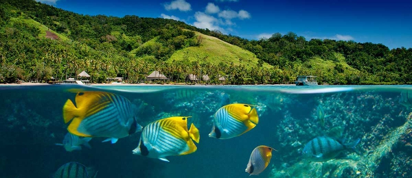 Инфо Туры Фиджи Фотографий