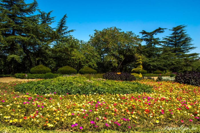 Рекламные Посещение Ботанического Сада&nbsp;Фотографий