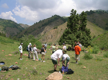 Рекламные Туры В Горы Ташкент Картинки