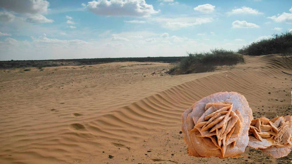 Лучших Экскурсия В Сахару Фотографий