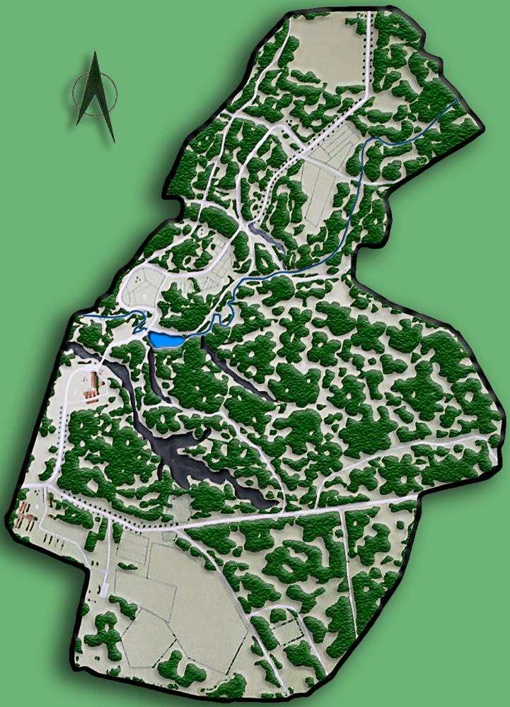 50+ Ботанический Сад Оранжерея Как Добраться&nbsp;Фотографий