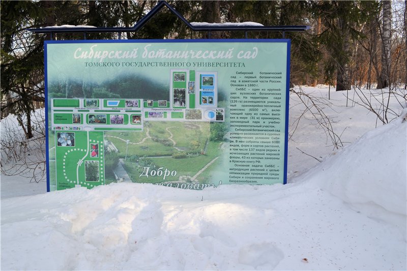 Рекламные Экскурсия В Ботанический Сад Томск&nbsp;Фото