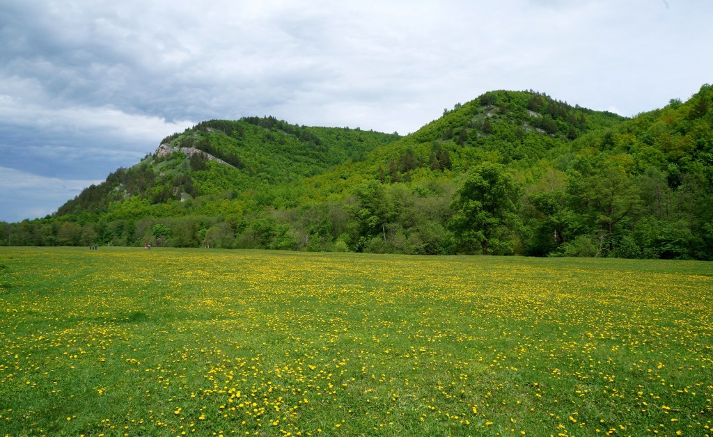 Инфо Гумеровское Ущелье Как Добраться&nbsp;Отзывы