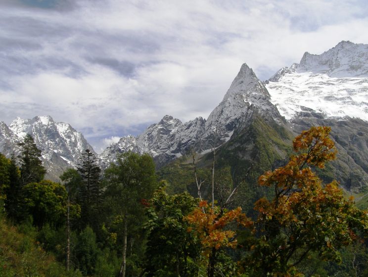 Лучших Туры В Горы Домбай Отзывы