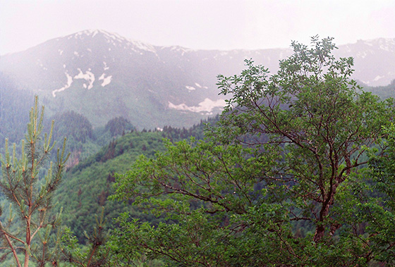 Эксклюзивные Отдых В Сванетии&nbsp;Картинки