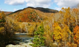 14+ Туры В Приморье 2021 Цены&nbsp;2022