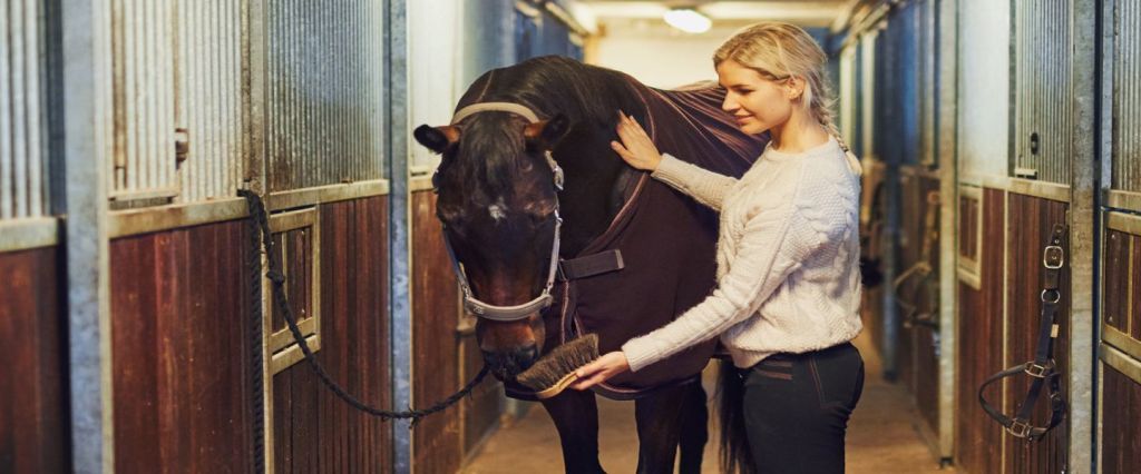 Инфо Экскурсия По Конюшне цены и отзывы 2022