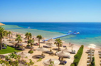 Лучших Туры Из Тбилиси В Египет&nbsp;Фото