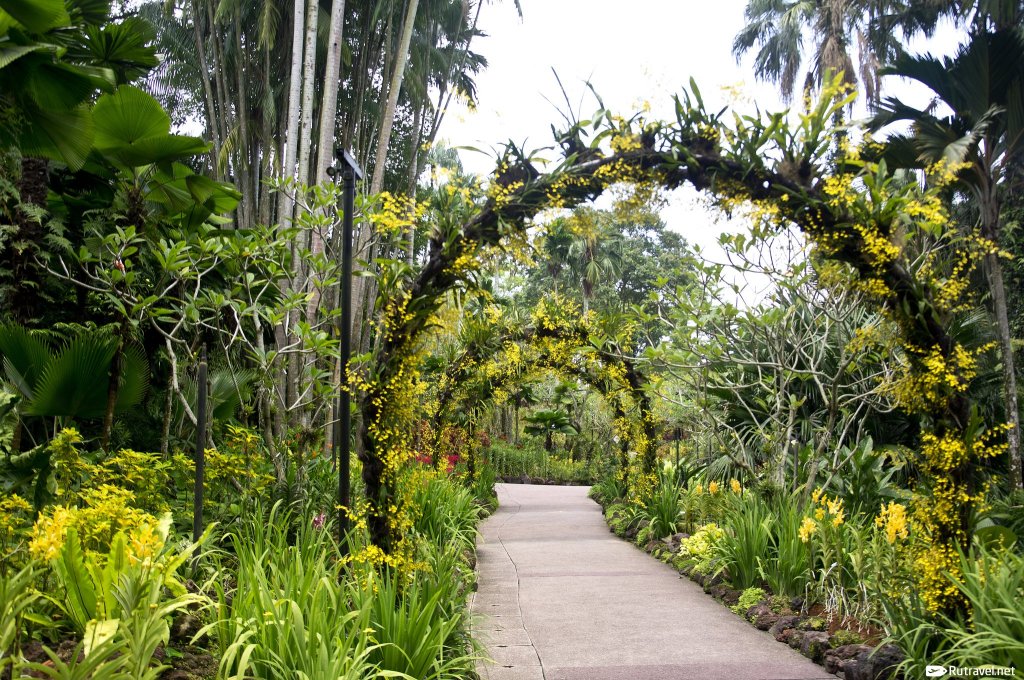 47+ Ботанический Сад Спб Стоимость Билета цены и отзывы&nbsp;2022