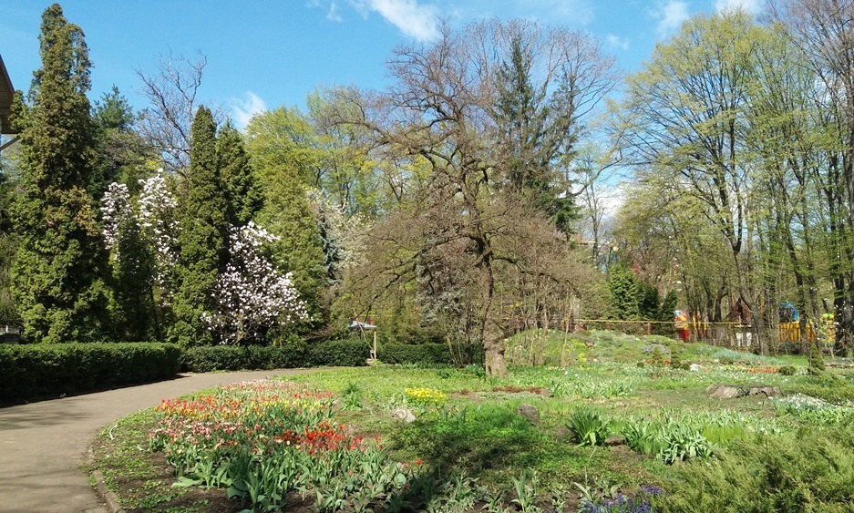 47+ Экскурсия В Ботанический Сад Одесса&nbsp;Картинки