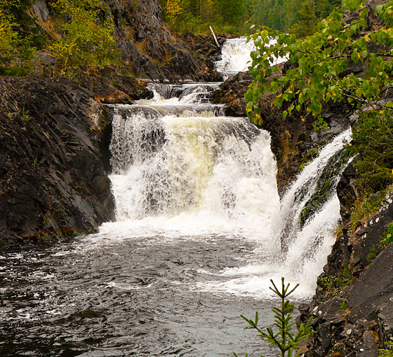 Рекламные Экскурсия Марциальные Воды&nbsp;Фотографий