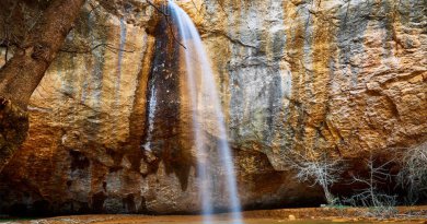 Эксклюзивные Арпатский Водопад Как Добраться&nbsp;Отзывы