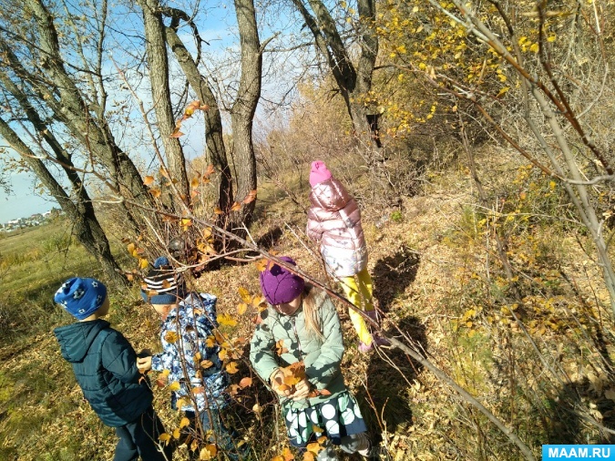 49+ Экскурсия Осень&nbsp;Фото