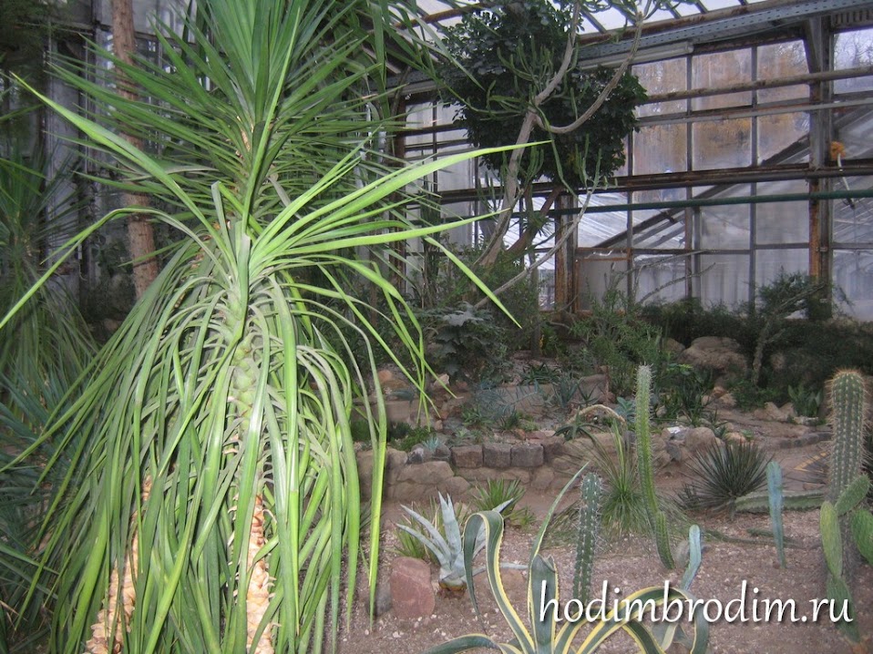 23+ Экскурсия В Ботанический Сад Длилась 1 Час 30 Минут цены и отзывы&nbsp;2022