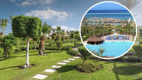 Рекламные Туры В Египет Осень 2021 Фотографий