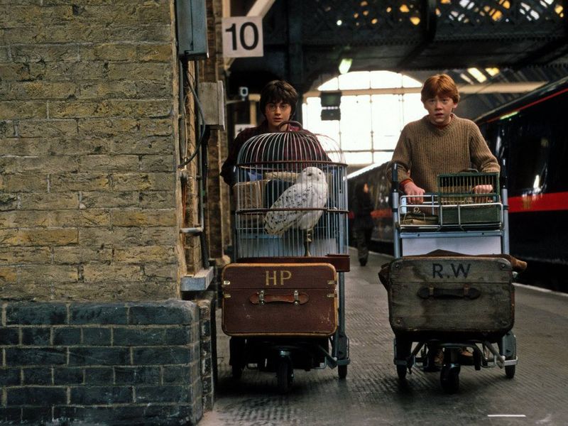 41+ Экскурсия Гарри Поттер Москва Цены&nbsp;2022