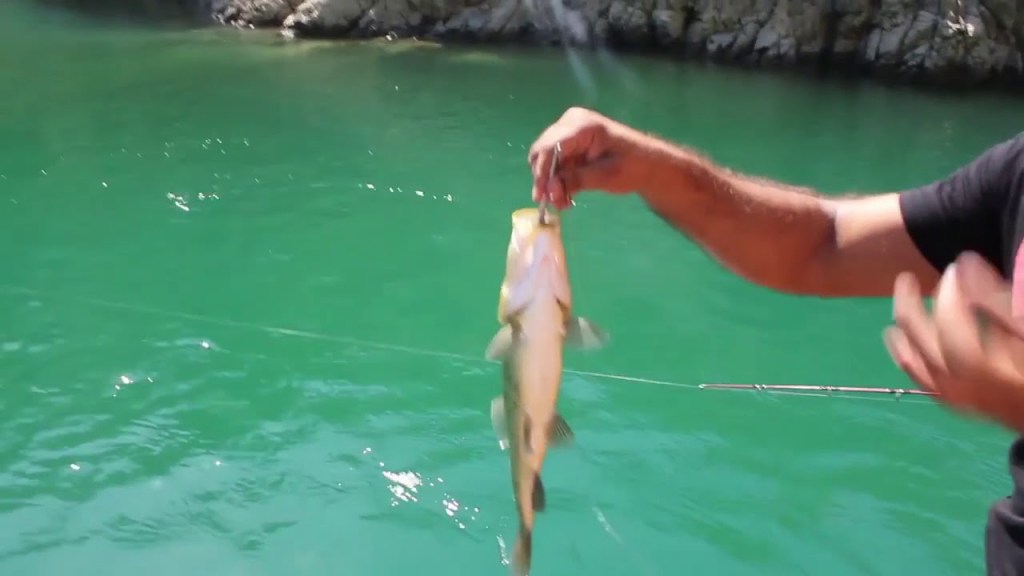 24+ Экскурсия Гранд Каньон Турция&nbsp;Отзывы