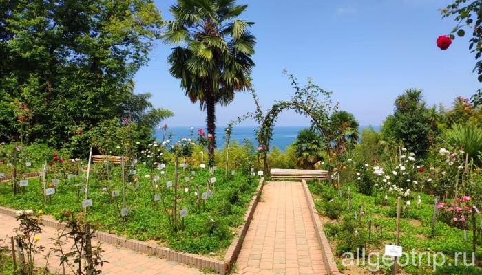 Лучших Экскурсия В Ботанический Сад Батуми Цены&nbsp;2022