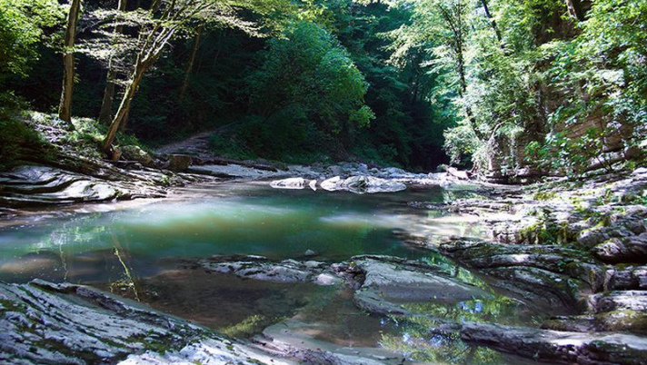 Эксклюзивные Экскурсии По Горам Сочи&nbsp;Фотографий