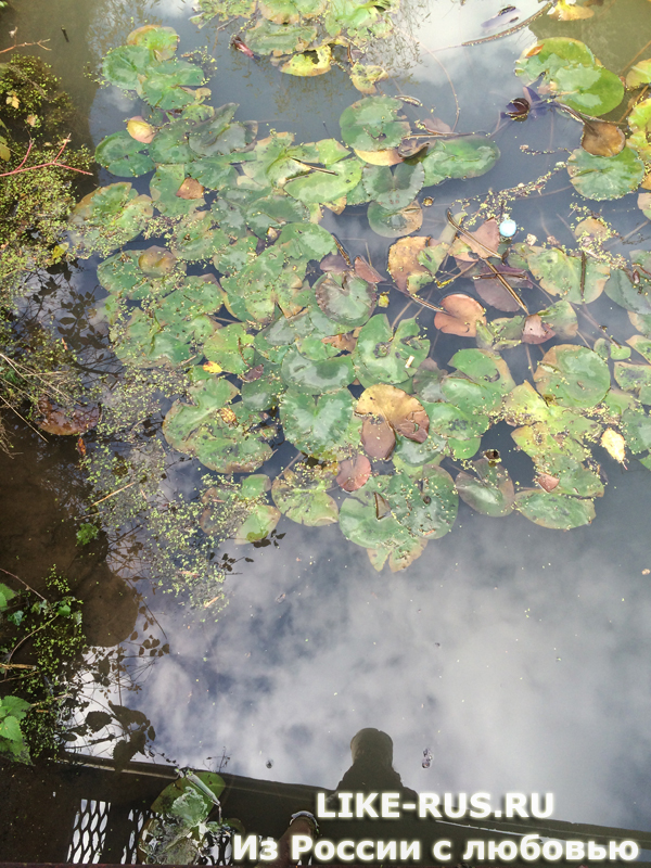 27+ Экскурсия Хаджохская Теснина Фотографий