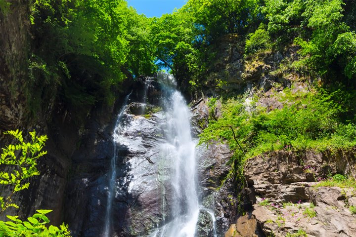 Рекламные Экскурсии В Батуми 2020&nbsp;Фото