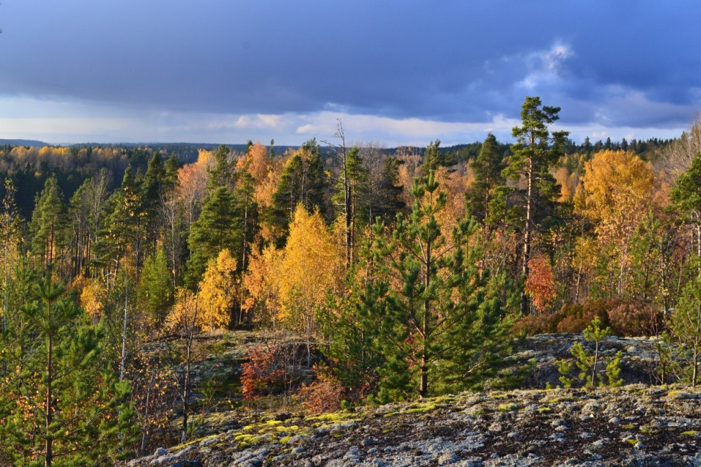 15+ Туры В Карелию Осенью Цены&nbsp;2022