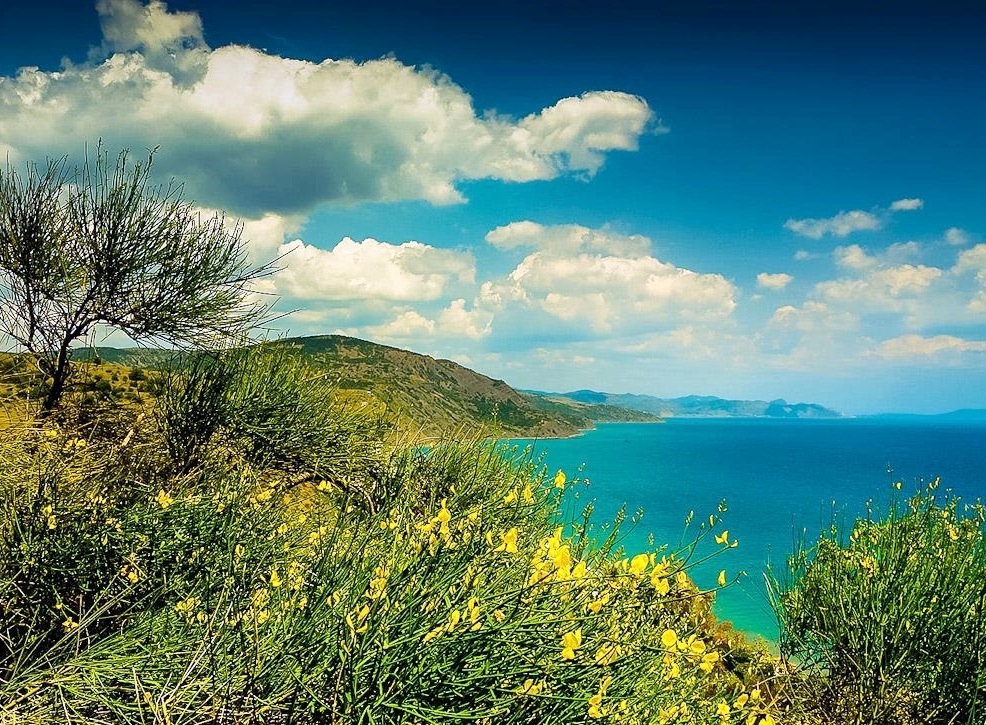 11+ Туры В Горы Крым Цены 2022