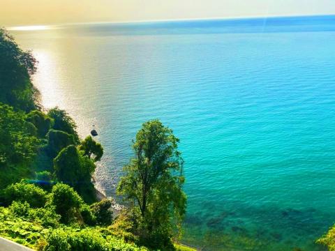 25+ Экскурсии В Батуми Отзывы Картинки