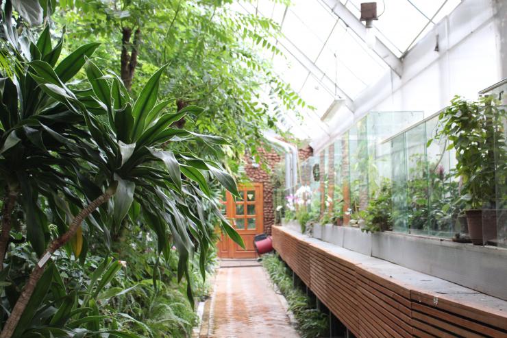 30+ Экскурсия В Ботанический Сад&nbsp;Фото