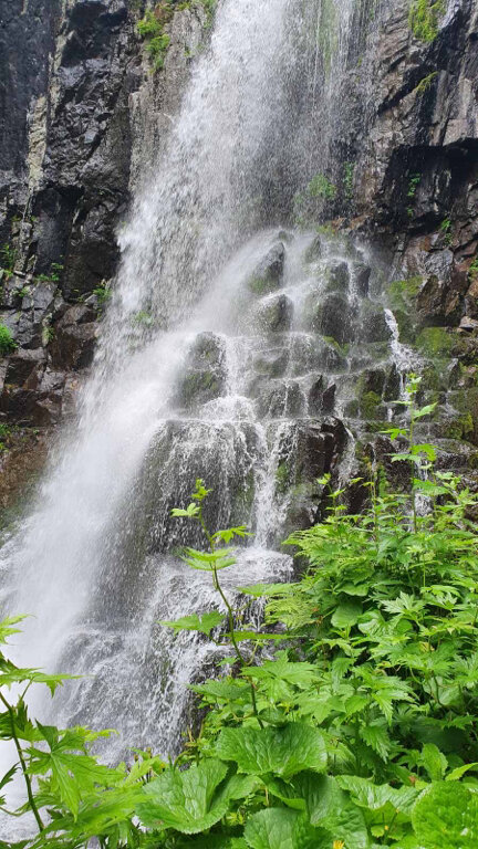 24+ Беневской Водопад Отзывы