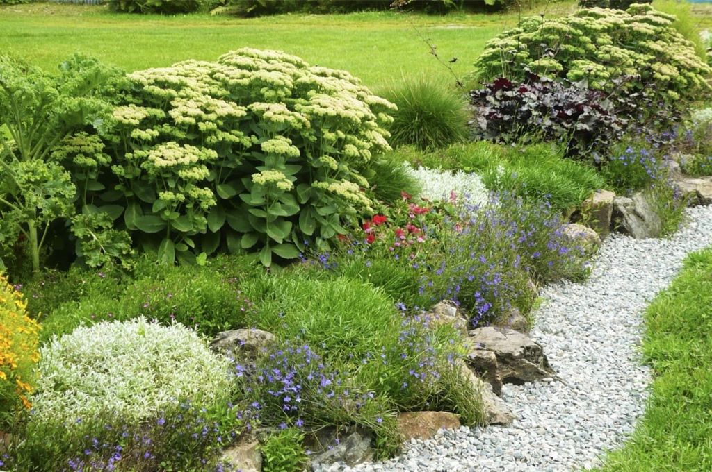 18+ Ботанический Сад Экскурсии&nbsp;Отзывы