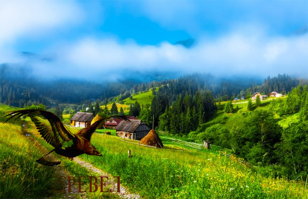 Рекламные Туры В Горы Карпаты Цены 2022