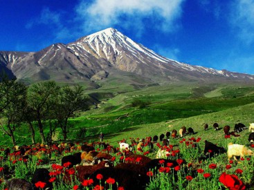 40+ Туры Путевки В Грузию Цены&nbsp;2022