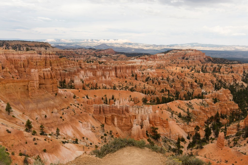 Эксклюзивные Авторские Туры В Америку Каньоны Цены&nbsp;2022