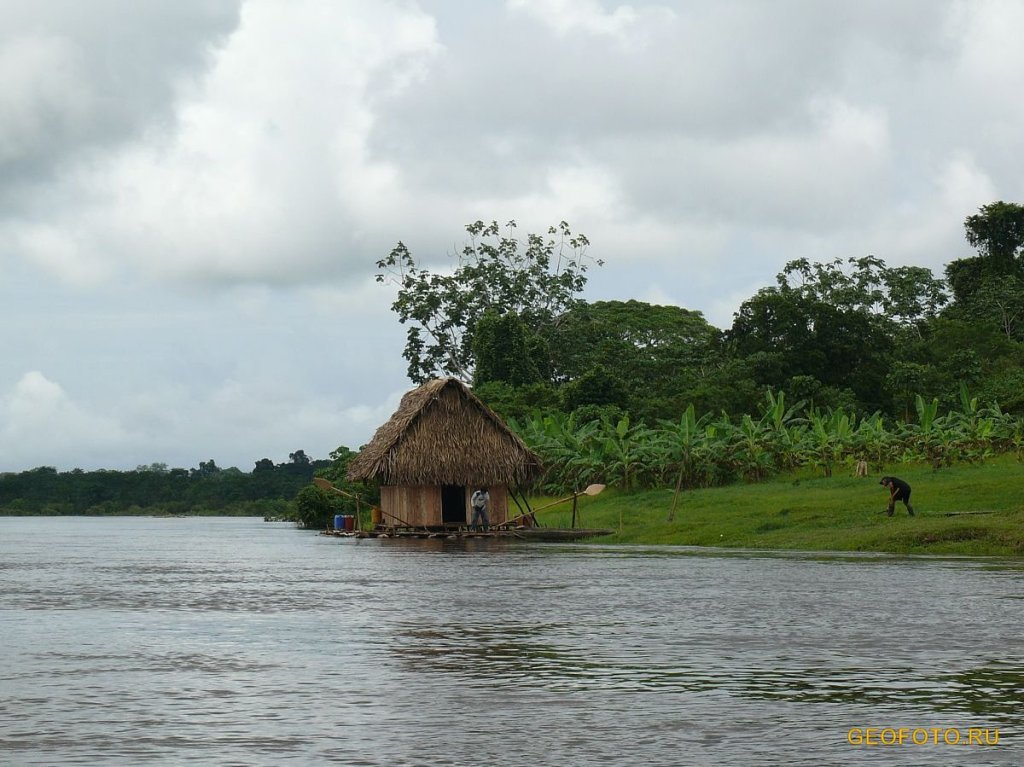 15+ Туры В Амазонию Фотографий