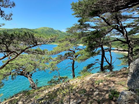 Рекламные Туры В Приморский Край&nbsp;Фото