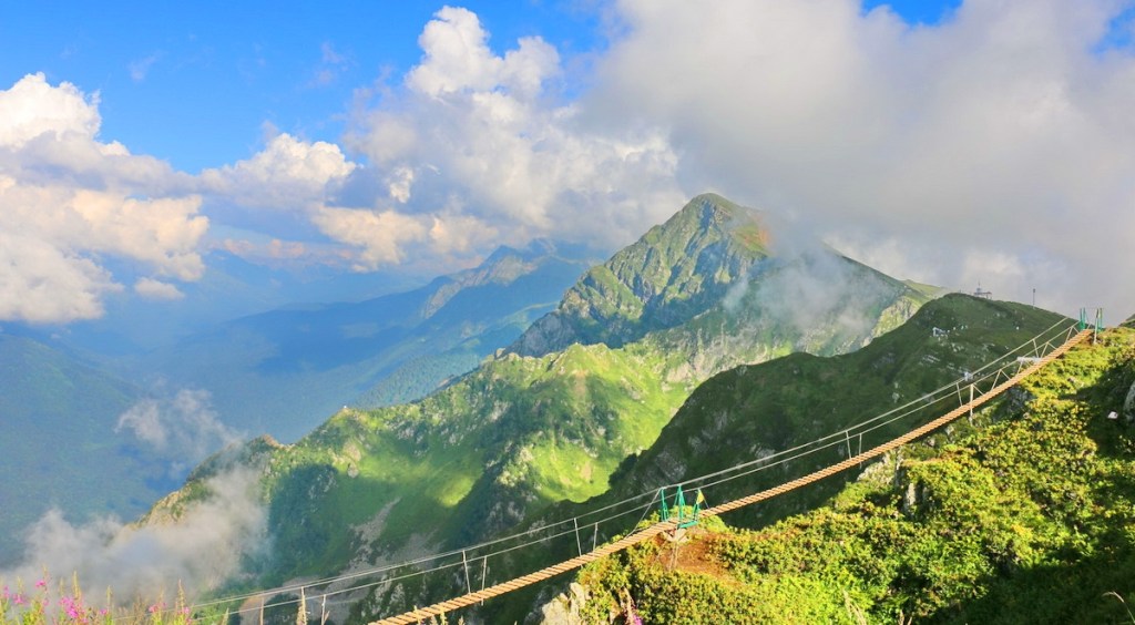 12+ Туры В Сочи Москва&nbsp;Фото