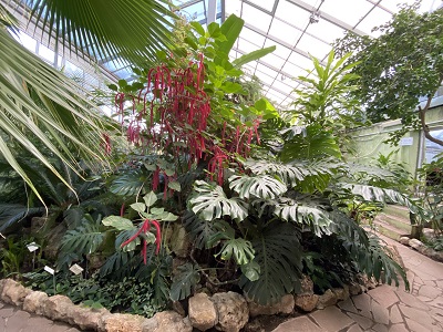 Инфо Ботанический Сад Посещение&nbsp;Картинки