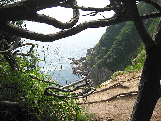 Рекламные Приморский Край Экскурсии Картинки