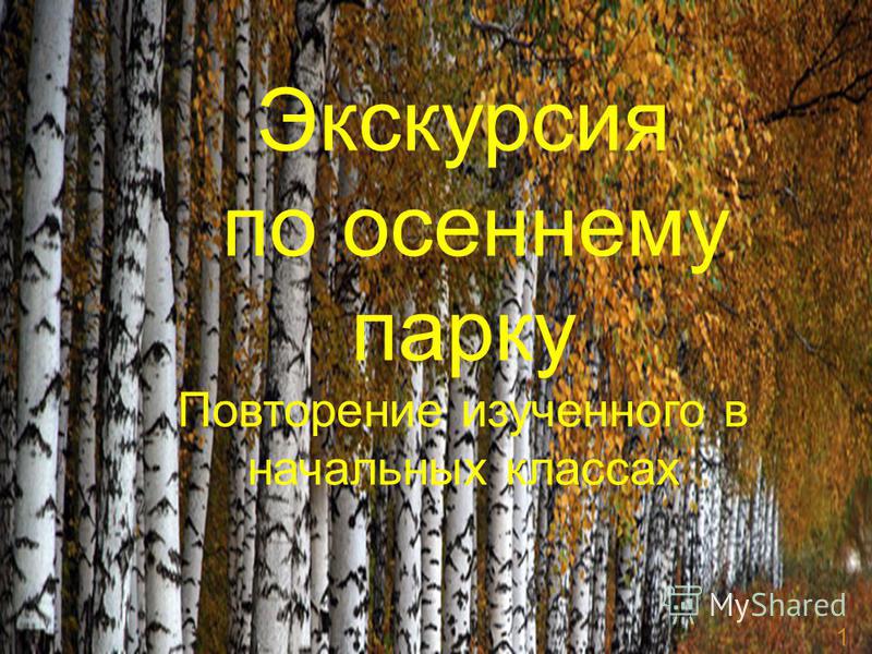 23+ Экскурсия Осень 1 Класс&nbsp;Отзывы