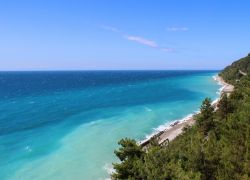 Рекламные Туры В Новый Афон Из Спб цены и отзывы&nbsp;2022