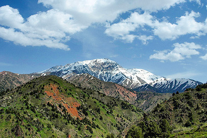 Рекламные Туры В Горы Узбекистана Отзывы