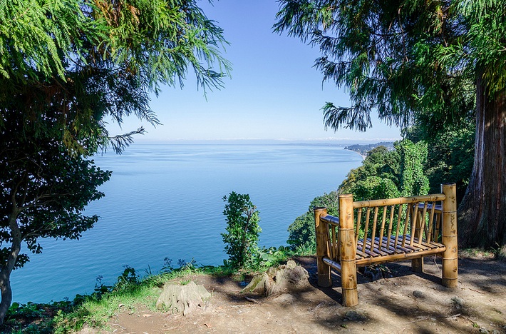 41+ Путёвки В Батуми цены и отзывы&nbsp;2022