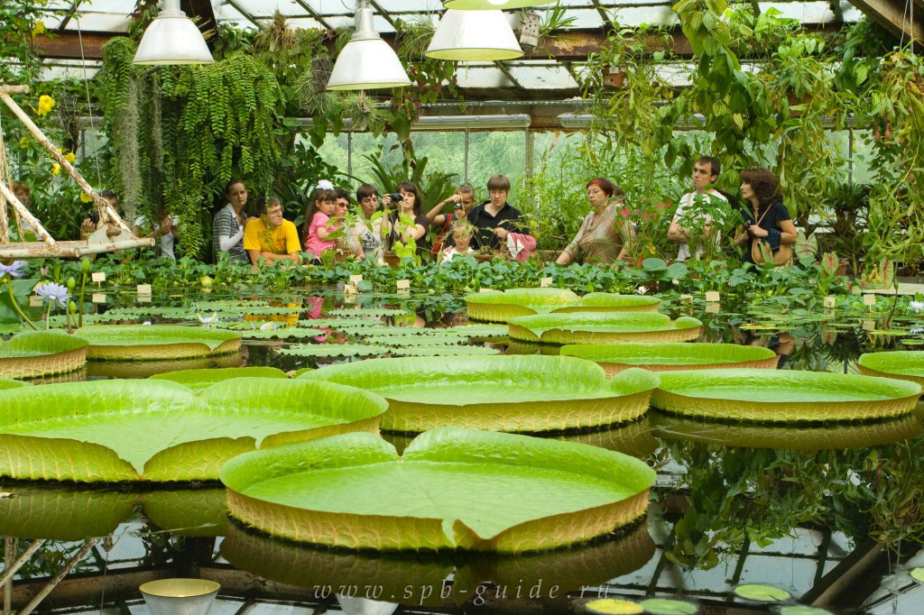 Инфо Ботанический Сад Москва Цена Билета 2021 цены и отзывы&nbsp;2022