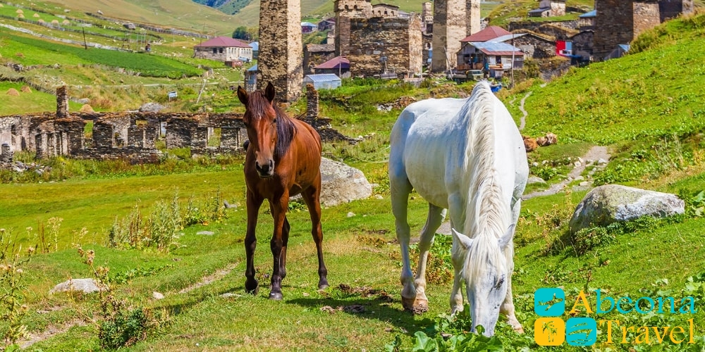 Эксклюзивные Экскурсии Из Кутаиси В Грузии Фотографий