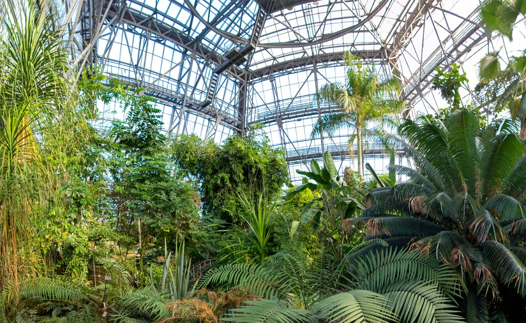 Эксклюзивные На Экскурсию В Ботанический Сад&nbsp;Фото